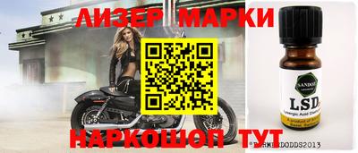 спиды Кингисепп