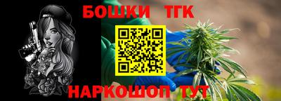 спиды Кингисепп