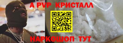 спиды Кингисепп