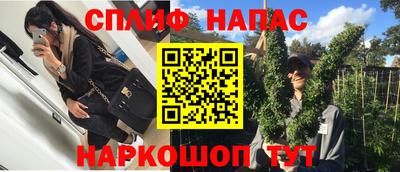 спиды Кингисепп