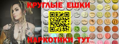 спиды Кингисепп