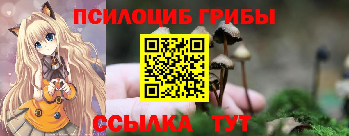 Псилоцибиновые грибы MAGIC MUSHROOMS  Галлюциногенные грибы MAGIC MUSHROOMS  Вход с VPN  Коломна 